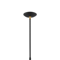 black gold dome pendant