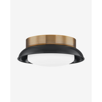 Arnie Flush Mount