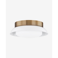 Arnie Flush Mount
