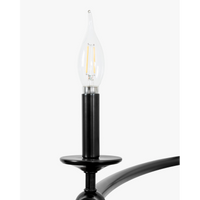Aurelia Ring Chandelier
