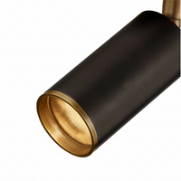 Caleb Flush Mount