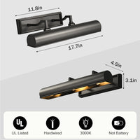 Dean Picture Light Black 18 in