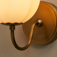 agnes gooseneck sconce