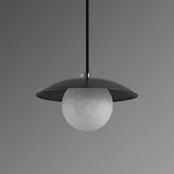 Globe Pendant Light