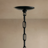 Paloma Chandelier