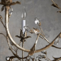 Claudette Chandelier