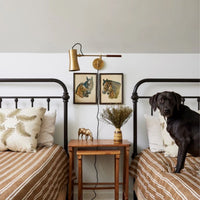 Novel Sconce