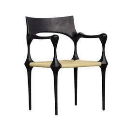 Wood Dining Chairs - Mid Century Modern Dining Room Sara Bond Chair