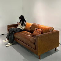 Mid-Century Lounge Sofa image 4