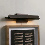 Zaeden Picture Light